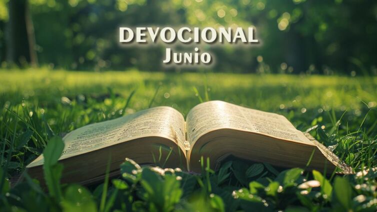 devo1 (Demo)